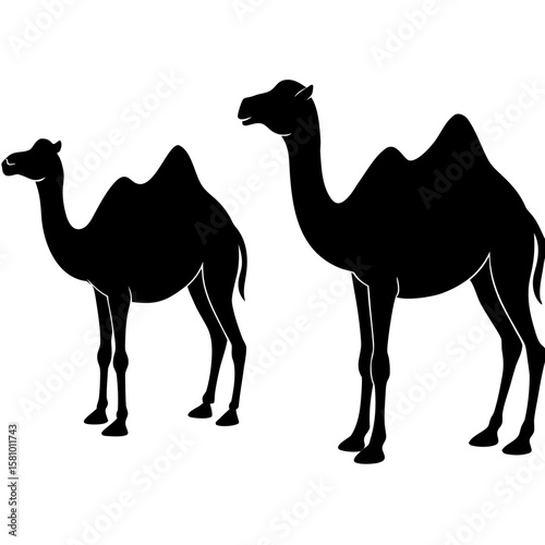 Desert and beach camels, majestic mammals of nature, journey across the sand dunes