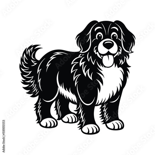 Cheerful fluffy dog with tongue out isolated on white animal black and white