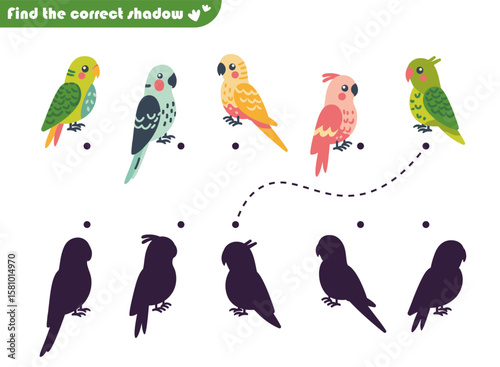 Education puzzle game for children, find the correct shadow, with budgies parrots of green, pink, blue and yellow colors
