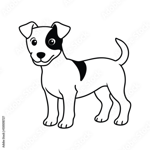 Playful white dog with black patches standing puppy jack russell terrier