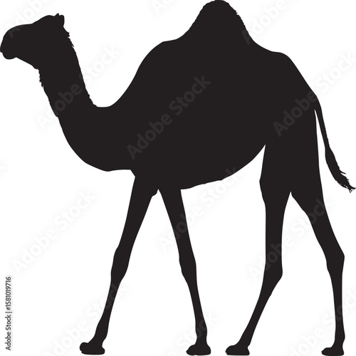 Camel silhouette vector illustration desert animal graphic design resource isolated on white background