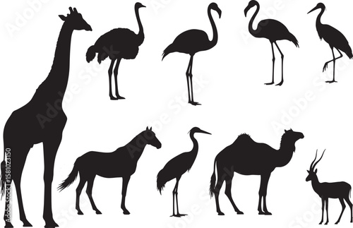Collection of diverse black silhouettes showcasing various exotic safari animals and birds, perfect for wildlife-themed designs, educational materials, or nature-inspired projects