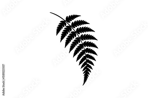 Silhouette of a Leafy Fern Frond Curved Downward