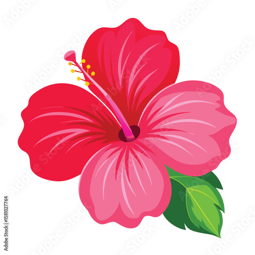 A vibrant pink hibiscus flower with a dark red center, on a plain background.