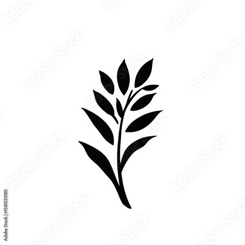 Vector black silhouette illustration of a plant with feather leaf design, nature art, and wheat grain elements