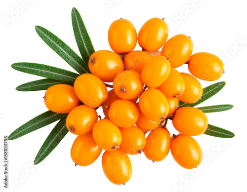 Top View of Sea Buckthorn Berries with Green Leaves, Isolated on Transparent Background”