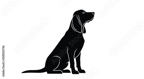An Elegant Silhouette of a Sitting Hound Dog Looking Upwards