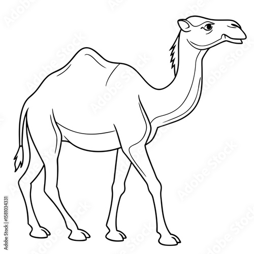 One hump camel silhouette isolated on white background