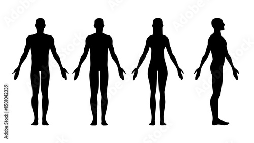 Realistic Human Silhouettes PNG with Natural Posture Transparent Background