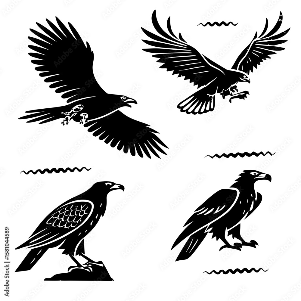 Obraz premium Four black eagles in flight and perched hawk bird