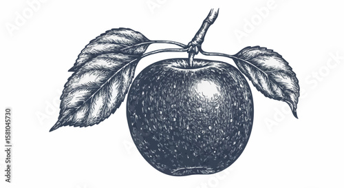 apple porcelain decoration design (dark grey)