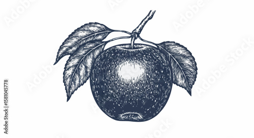 apple porcelain decoration design (dark grey)