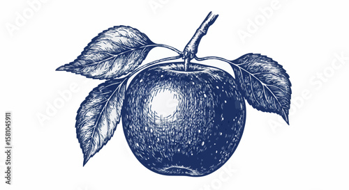 apple porcelain decoration design (dark blue)