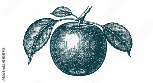 apple porcelain decoration design (dark green)