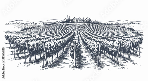vineyard porcelain decoration design (dark blue)