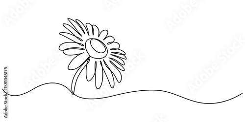 Daisy flower continuous one line drawing illustration, Daisy flower in continuous line art style Chamomile One line drawing art Minimalist black linear sketch Vector Icon Symbol illustration, Zinnia.