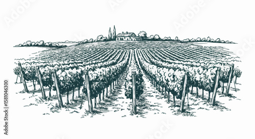 vineyard porcelain decoration design (dark green)