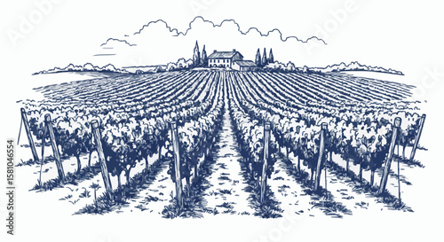 vineyard porcelain decoration design (dark blue)