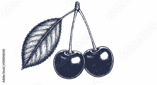 cherry porcelain decoration design (dark grey)