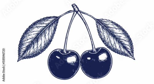 cherry porcelain decoration design (dark blue)