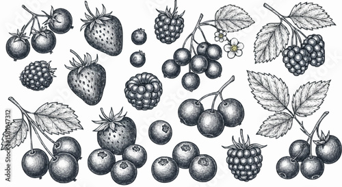 Strawberries, raspberries, blueberries, and blackberries porcelain decoration design (dark grey)