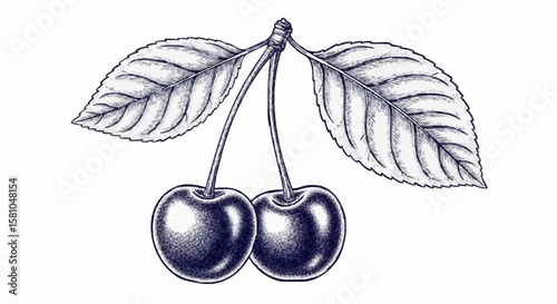 cherry porcelain decoration design (dark blue)