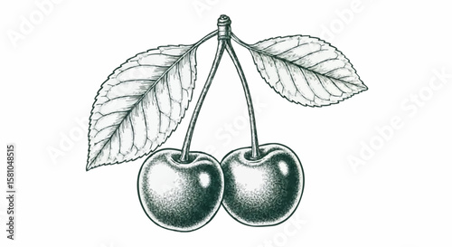cherry porcelain decoration design (dark green)