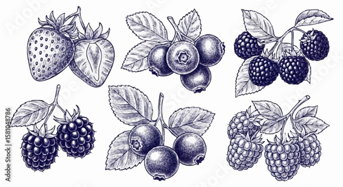 Strawberries, raspberries, blueberries, and blackberries porcelain decoration design (dark blue)