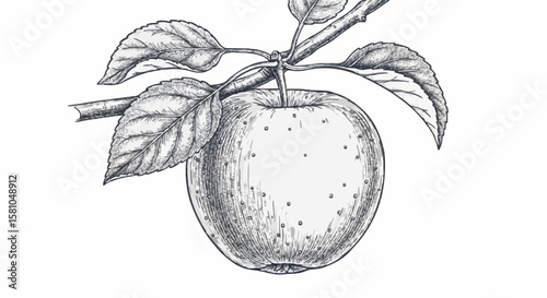 apple porcelain decoration design (dark blue)