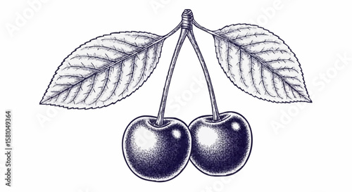 cherry porcelain decoration design (dark blue)