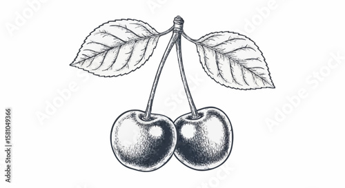 cherry porcelain decoration design (dark grey)