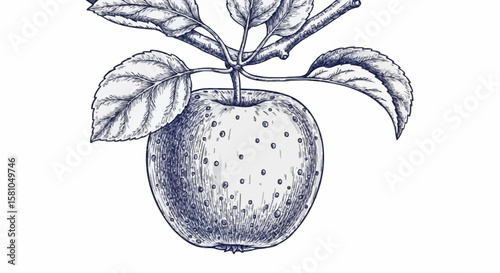 apple porcelain decoration design (dark grey)