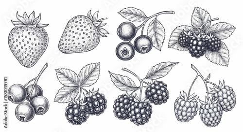 Strawberries, raspberries, blueberries, and blackberries porcelain decoration design (dark grey)