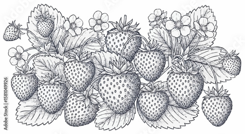 Strawberries porcelain decoration design (dark blue)