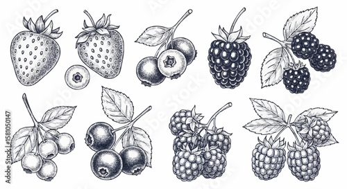 Strawberries, raspberries, blueberries, and blackberries porcelain decoration design (dark grey)