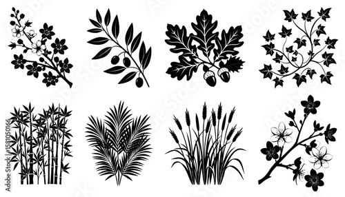 Botanical Plant Silhouette Vector Set