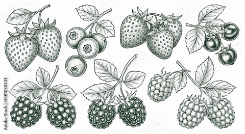 Strawberries, raspberries, blueberries, and blackberries porcelain decoration design (dark green)