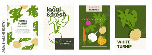 Fresh white turnip illustration. Simple posters with root vegetable for farmers market advertising. Vector templates with copyspace. Set of bulb vegetables in minimal hand drawn and flat style.