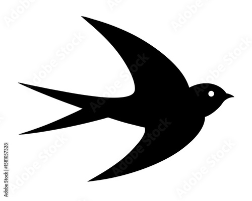 Swallow bird silhouette. Bird seagull Swallow pigeon vector illustration