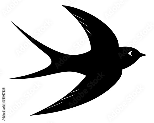 Swallow bird silhouette. Bird seagull Swallow pigeon vector illustration