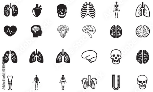 Collection of human anatomy icons featuring lungs heart brain skull rib cage and skeleton illustrations