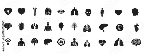 Collection of black human organ and body part icons on Illustration