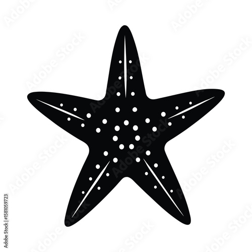 vector illustration of a star