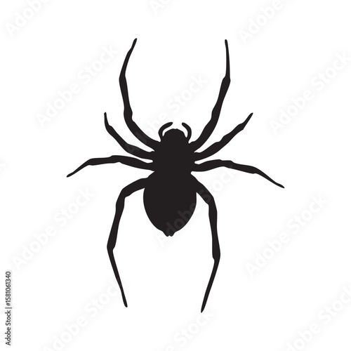 Black spider silhouette with eight legs isolated on white background silhouette