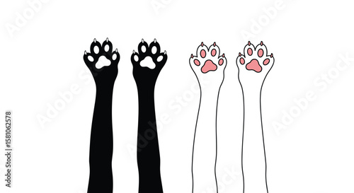 Adorable Animal Paws Demonstrating Dexterity and Cute Charm for Various Creative Projects