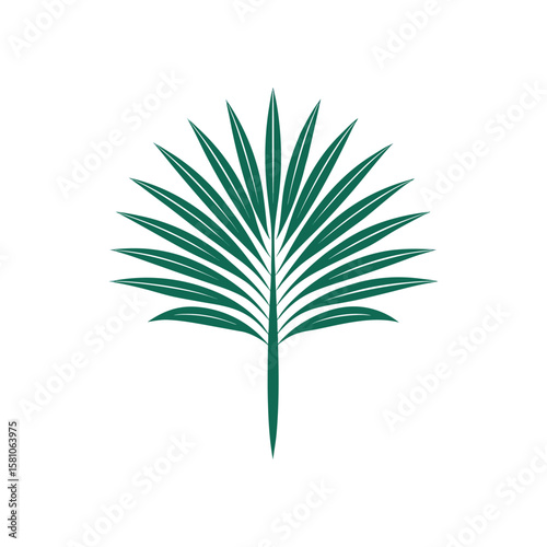 Stylized green palm leaf frond fan shape isolated on white background