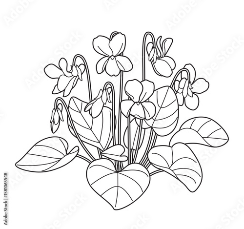 Flowering Violet Bunch Outline Drawing