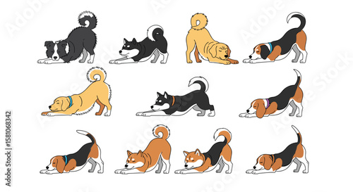 Collection of Playful Dogs in Various Poses Demonstrating Canine Agility and Engagement