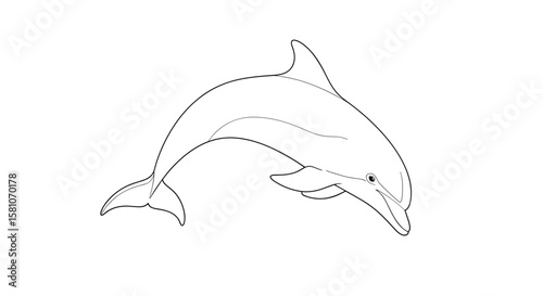 Playful Dolphin Leaping Gracefully Through Ocean Waves with Detailed Outline Illustration