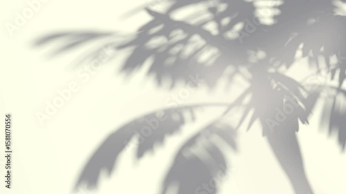 Abstract shadow palm tree on wind sunshine background, looped animation